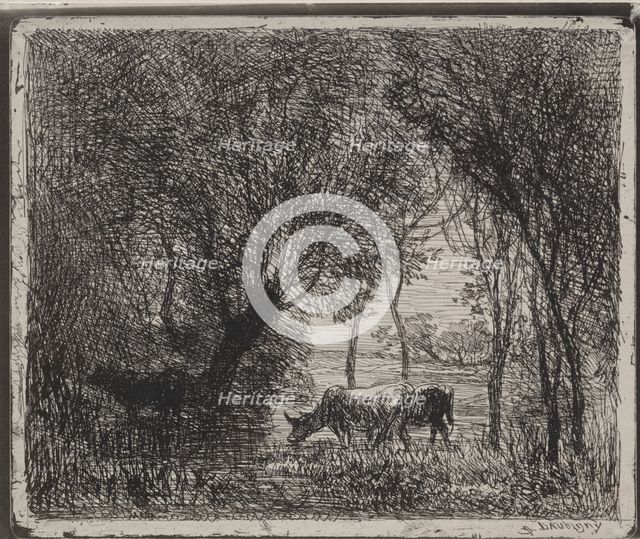 Cows in the Woods, original impression 1862, printed in 1921. Creator: Charles François Daubigny (French, 1817-1878).