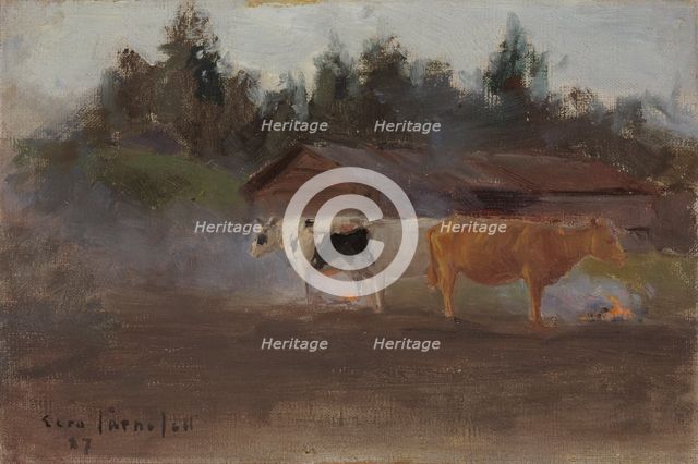 Cows in Turf Smoke, study, 1887. Creator: Eero Jarnefelt.