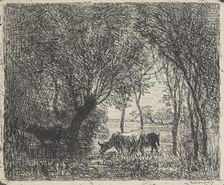 Cows in woods, 1862. Creator: Charles Francois Daubigny