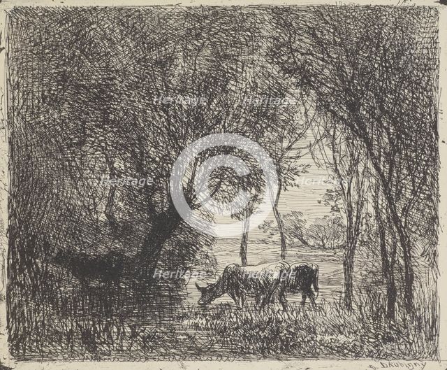 Cows in woods, 1862. Creator: Charles Francois Daubigny.