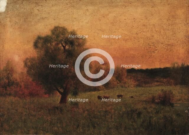 Cows in a Field, before 1956. Creator: George Inness (American, 1825-1894), imitator of.