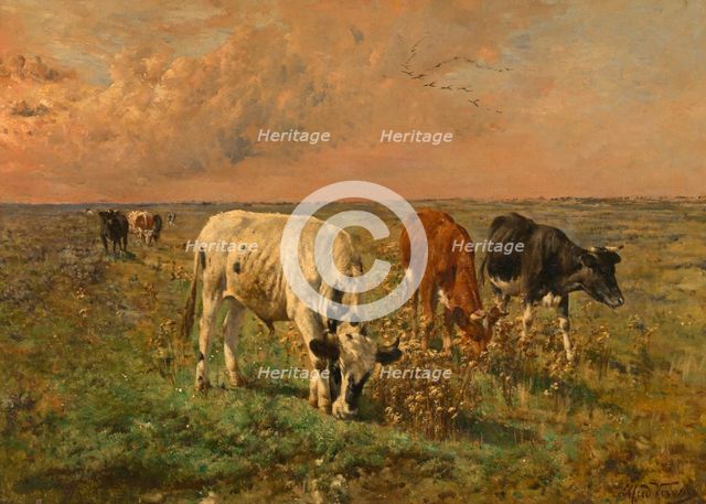 Cows in a Pasture, mid-late 19th century. Creator: Alfred Verwee.