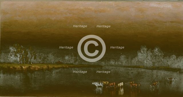Cows in a Pond at Sunset, 1860. Creator: Sanford Robinson Gifford.