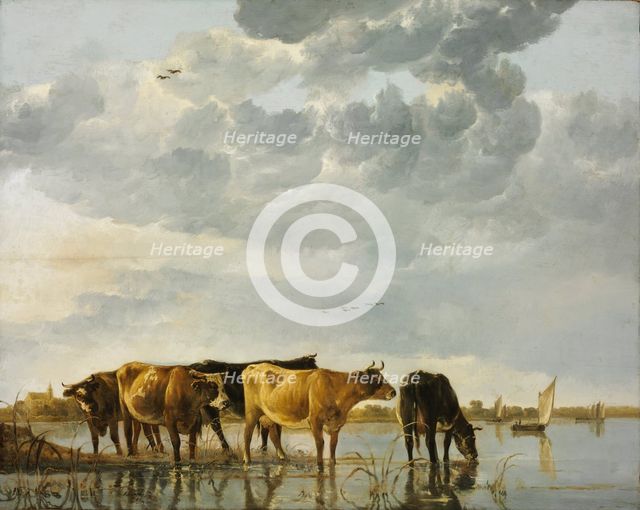 Cows in a River. Artist: Cuyp, Aelbert (1620-1691)