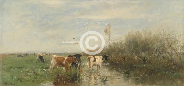 Cows in a Soggy Meadow, 1860-1900. Creator: Willem Maris.