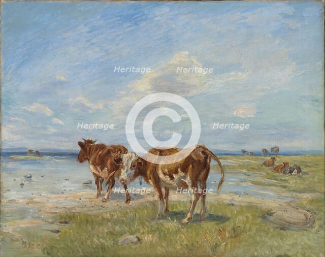 Cows on the beach, sketch, late 19th-early 20th century. Creator: Theodor Esbern Philipsen.