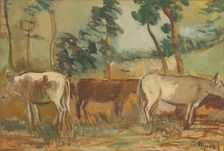 Cows on pasture, 1935-1940. Creator: Cyprian Majernik