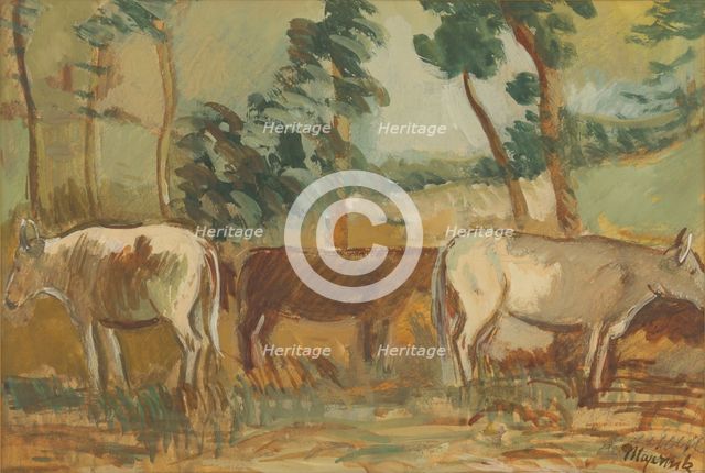 Cows on pasture, 1935-1940. Creator: Cyprian Majernik.