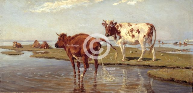 Cows on Saltholm, 1885. Creator: Theodor Esbern Philipsen.