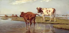 Cows on Saltholm, 1885. Creator: Theodor Esbern Philipsen