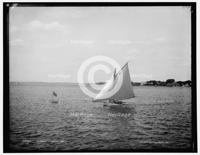 Coyote, 1887 June 25. Creator: Unknown.