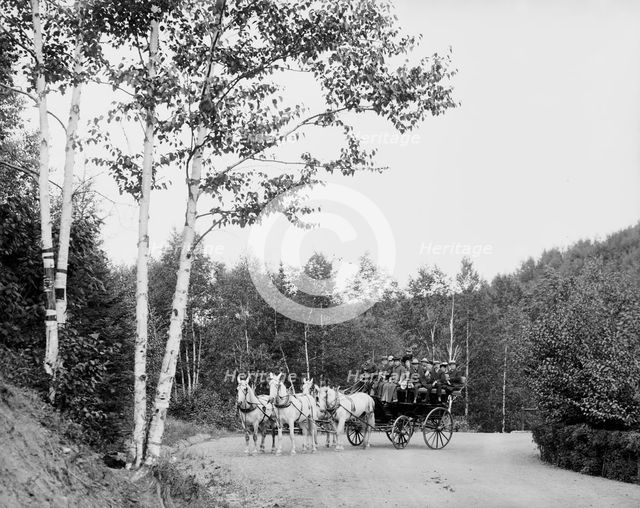 Coaching party on Boulevard Drive, Duluth, Minn., between 1900 and 1906. Creator: Unknown.