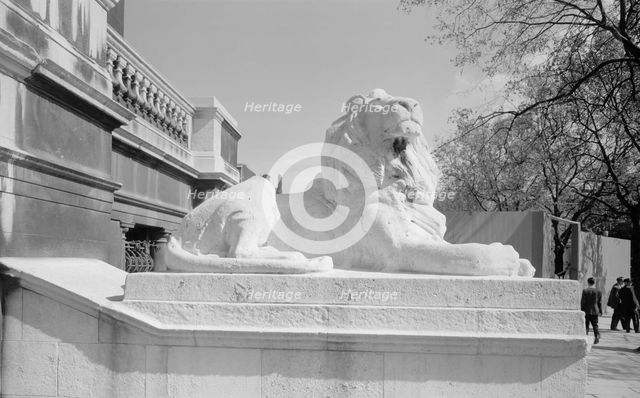Coade lion, Westminster Bridge Road, Lambeth, London. Artist: Eric de Maré