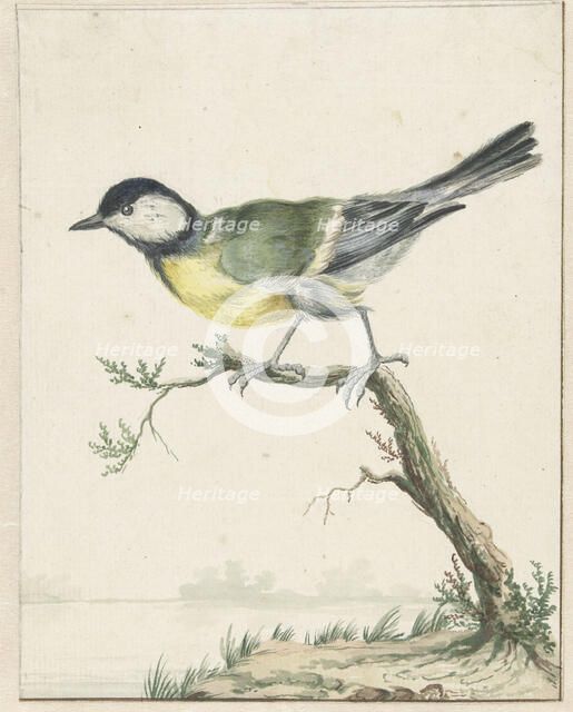 Coal tit, 1650-1719. Creator: Jan Weenix.