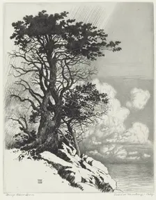 Coast at Monterey, California, c. 1925. Creator: George Elbert Burr