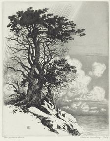 Coast at Monterey, California, c. 1925. Creator: George Elbert Burr