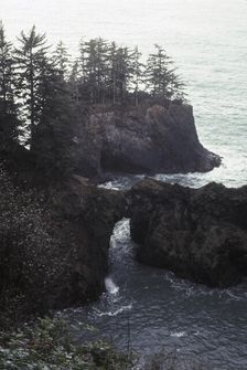 Coastal. Creator: Robert Manno