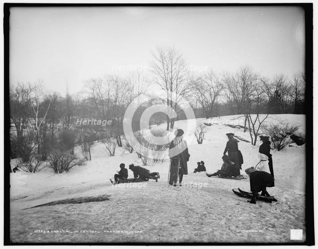 Coasting in Central Park, New York, between 1900 and 1906. Creator: Unknown.