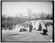 Coasting in Central Park, New York, between 1900 and 1906. Creator: Unknown