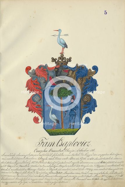 Coat of arms of the caplovic family, 1904-1910. Creator: Adolf Medzihradsky.