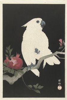 Cockatoo and pomegranate, 1925-1936. Creator: Ohara, Koson (1877-1945)