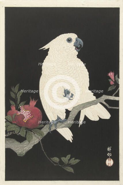 Cockatoo and pomegranate, 1925-1936. Creator: Ohara, Koson (1877-1945).