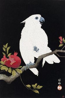 Cockatoo and pomegranate, 1930. Creator: Ohara Koson