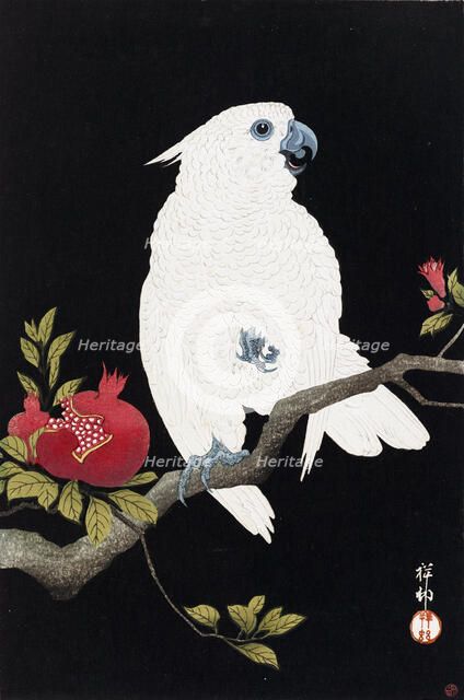 Cockatoo and pomegranate, 1930. Creator: Ohara Koson.