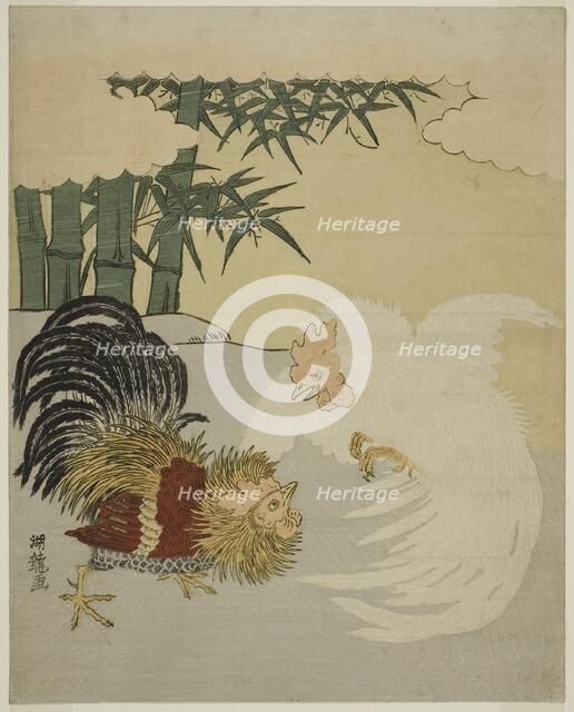 Cocks Fighting near Bamboo Grove, c. 1770s. Creator: Isoda Koryusai.