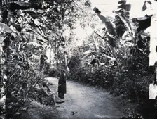 Cochin China [Vietnam], 1867, (1981). Creator: Unknown