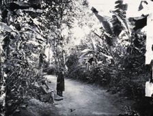 Cochin China [Vietnam], 1867, (1981). Creator: Unknown