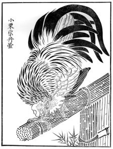 Cock, 15th century (1886)