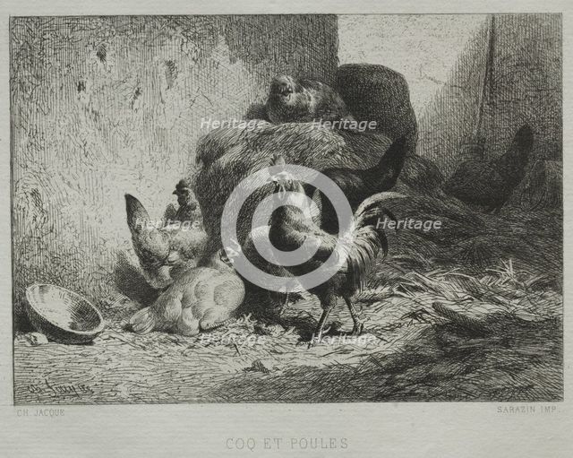 Cock and Hens. Creator: Charles-Émile Jacque (French, 1813-1894).