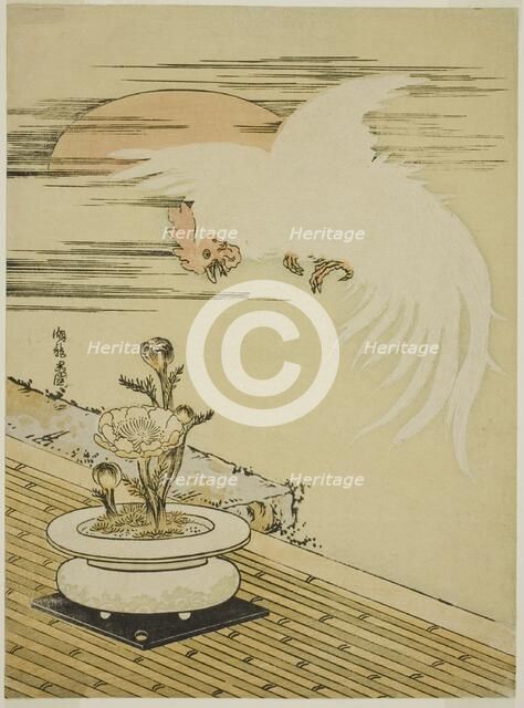 Cock Flying Over Pot of Adonis, c. 1770s. Creator: Isoda Koryusai.