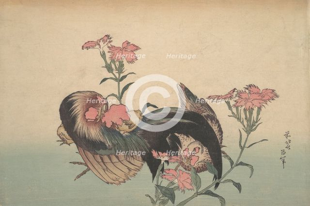 Cock, Hen, and Nadeshiko (Dianthus Superbus). Creator: Hokusai.