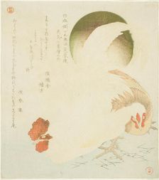 Cock, Hen, and Rising Sun, from the series "Seven Bird-and-flower Prints for the Fuyo..., c. 1810. Creator: Kubo Shunman