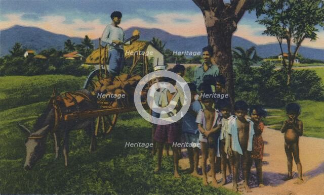 'Coconut Vendor, Trinidad, B.W.I.', c1940s. Creator: Unknown.