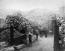 Coconut fibre works, Millwall, London, 1885. Creator: Unknown