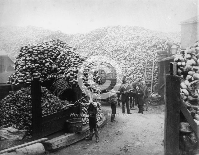 Coconut fibre works, Millwall, London, 1885. Creator: Unknown.