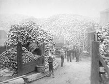 Coconut fibre works, Millwall, London, 1885. Creator: Unknown