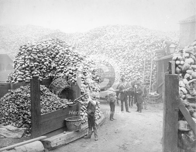 Coconut fibre works, Millwall, London, 1885. Creator: Unknown.