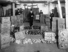 Coconut production, 20th century