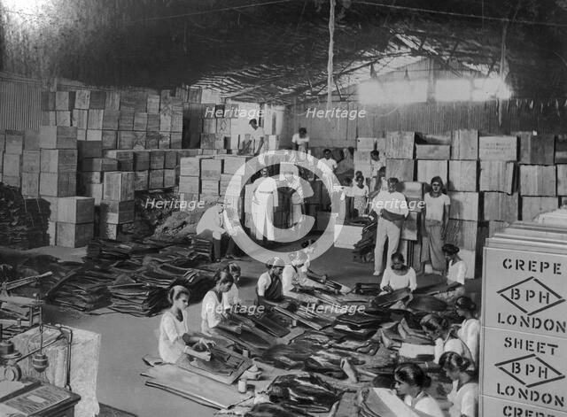 Coconut production, India, 20th century. Artist: Unknown