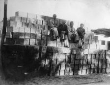 Coconut production, India, 20th century