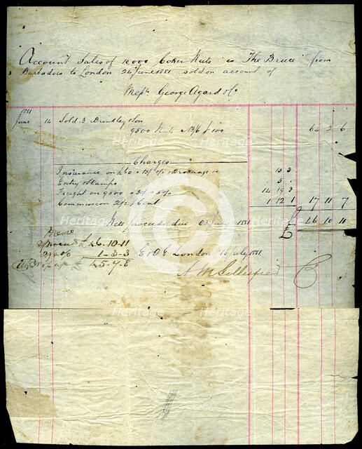 Coconut sales receipt, Barbados to London, 1881. Artist: Unknown
