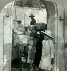 Cocoa Fresh from the Pods, Dominica, B.W.I. 1893. Creator: Keystone View Company