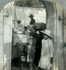 Cocoa Fresh from the Pods, Dominica, B.W.I. 1893. Creator: Keystone View Company