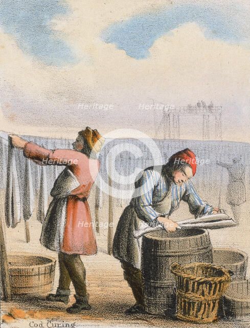 'Cod Curing', c1845. Artist: Benjamin Waterhouse Hawkins
