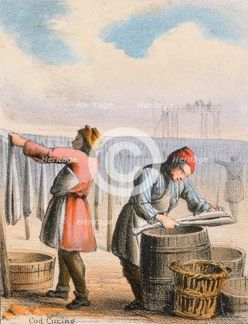 'Cod Curing', c1845. Creator: Benjamin Waterhouse Hawkins.