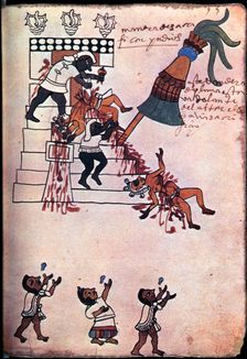Codex of Tudela, 16th century. Scene of an Indian sacrifice. Creator: Unknown